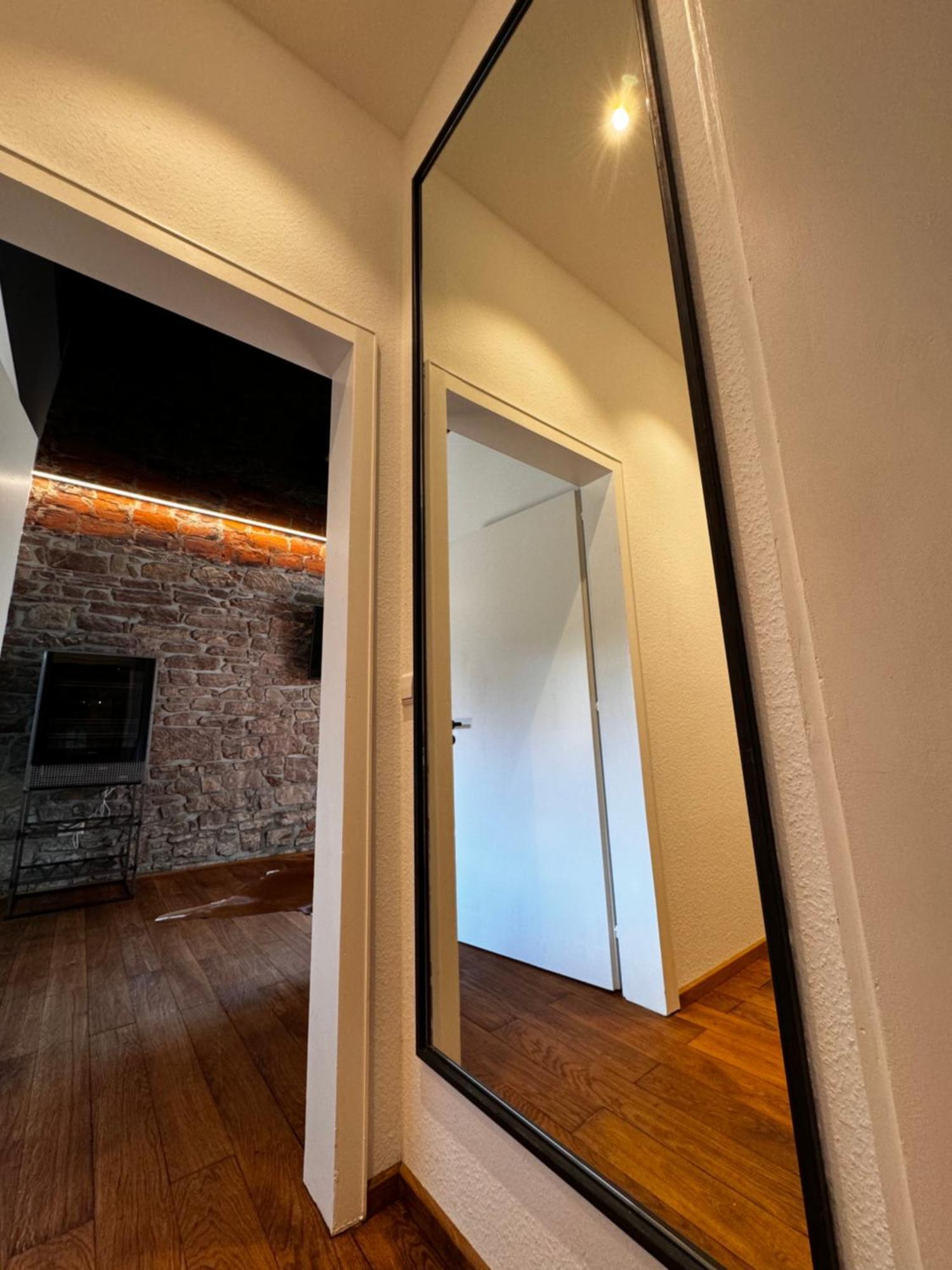 Historical Luxury Homes - Luxus Loft Wallstreet Freiburg im Breisgau Exterior photo